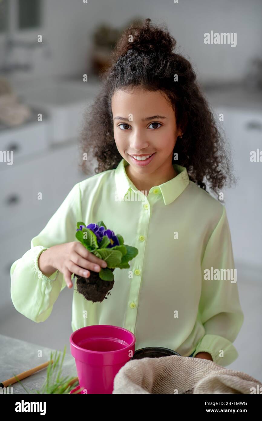 Mädchen mit einem aufblühenden Violett mit einer Wurzel in der Hand. Stockfoto