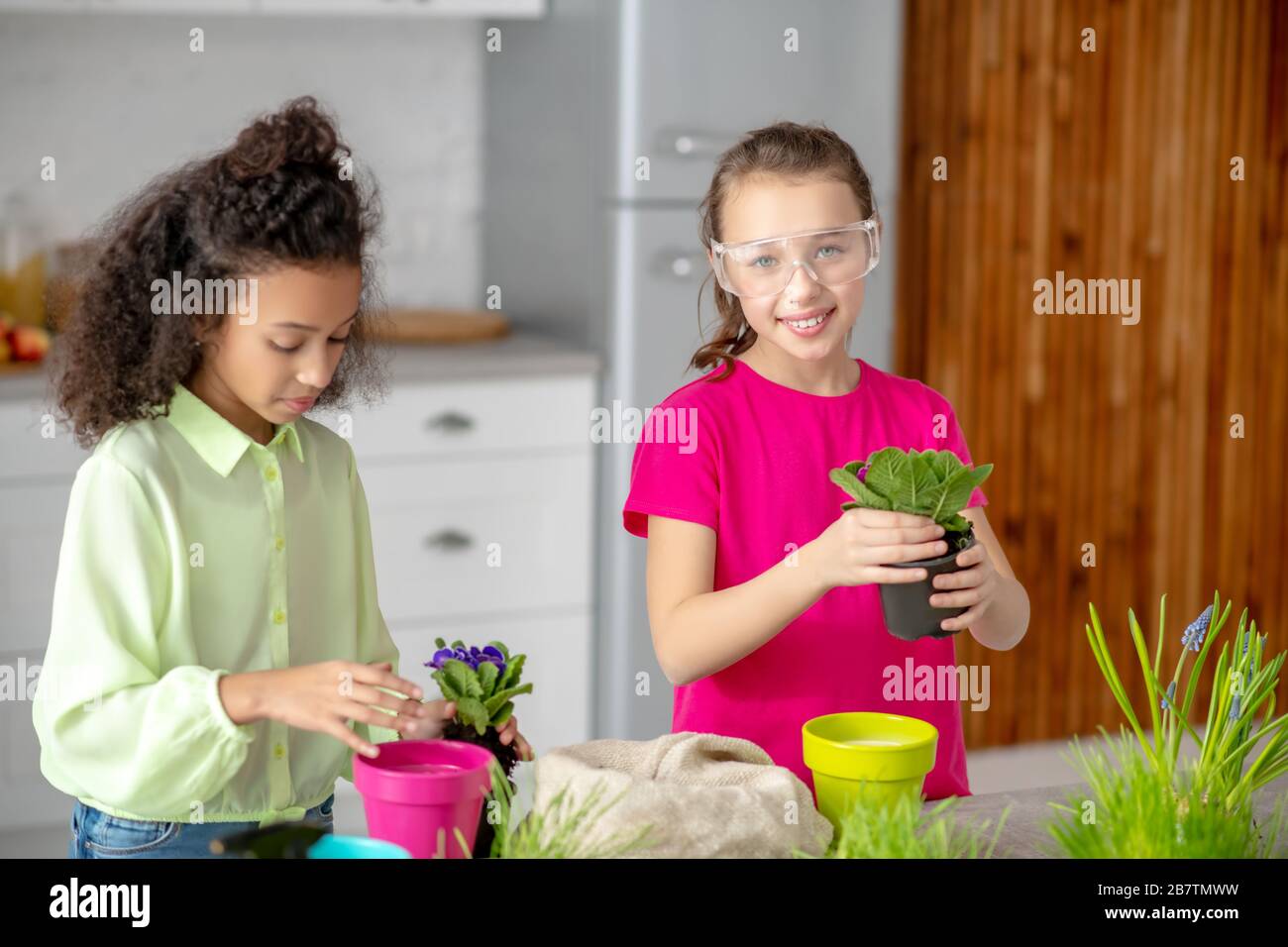 Zwei Teenager-Mädchen mit Indoor-Veilchen in den Händen. Stockfoto