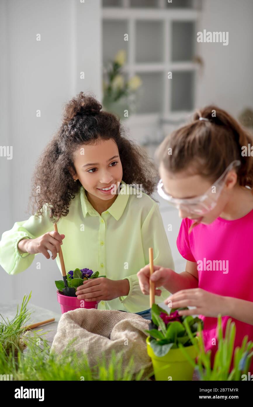 Zwei Freundinnen wollen zu Hause Zimmerblumen Pflanzen. Stockfoto