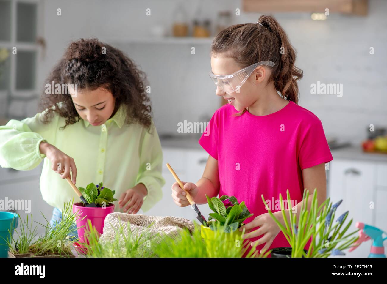 Teenager-Mädchen Pflanzen in der Küche wieder Hausanlagen ein. Stockfoto