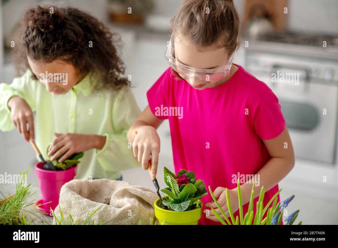 Zwei Kinder Pflanzen Blumen in Blumentöpfen zu Hause. Stockfoto