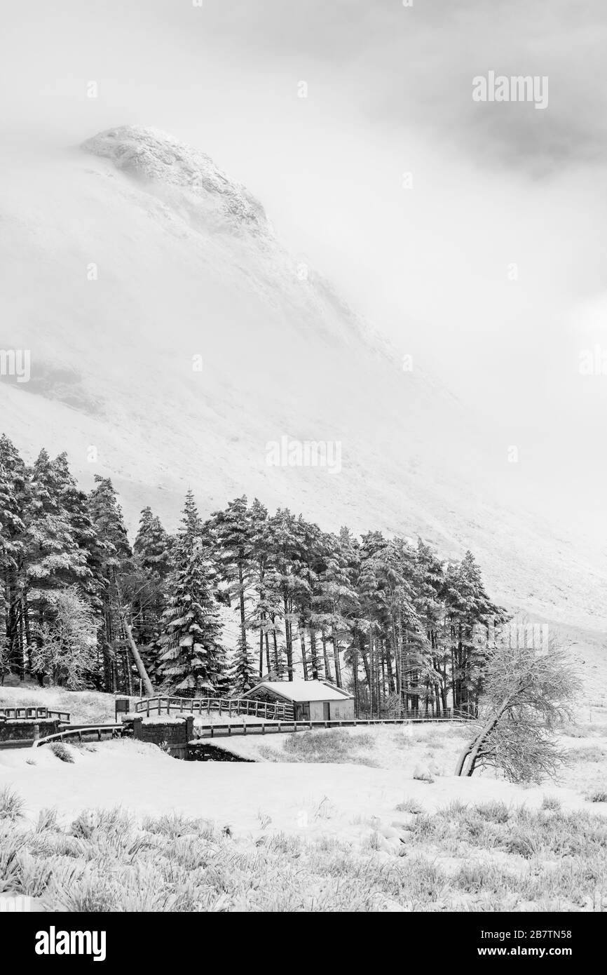Kalter Wintertag mit Schnee und Hoarfrost im Rannoch Moor, Glencoe, Scottish Highlands, Schottland, Großbritannien im Januar - Schwarzweiß-Monochrom Stockfoto