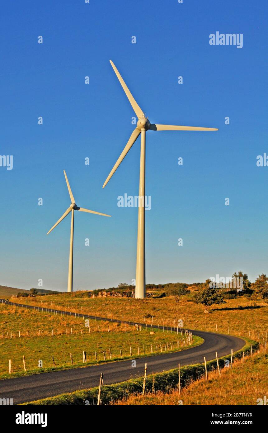 Windturbinen, Cézallier, Puy-de-Dome, Auvergne-Bahn-Alpen, Massif-Central, ForestFrance Stockfoto