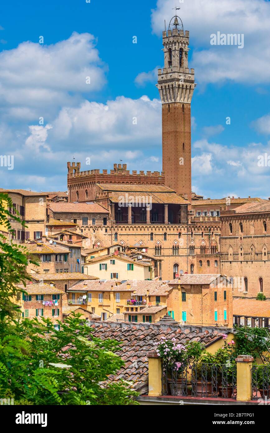 Das historische Zentrum von Siena, Toskana, mit der Rückseite des Palazzo Pubblico und des Torre del Mangia von einem Weg in der Nähe des Monastero di Sant'Agostino. Stockfoto