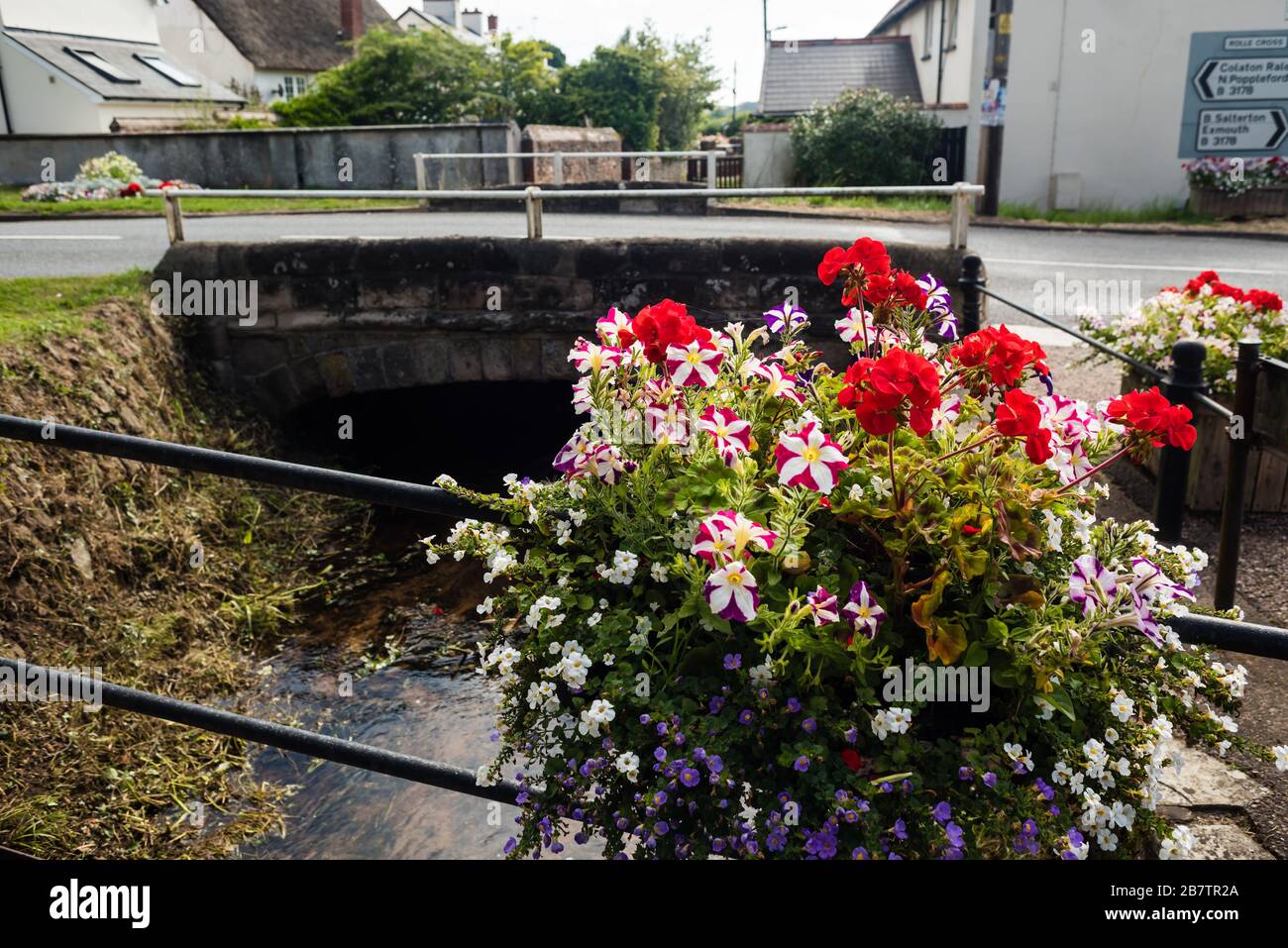 Großbritannien in Bloom Flower Display in East Budleigh. Stockfoto