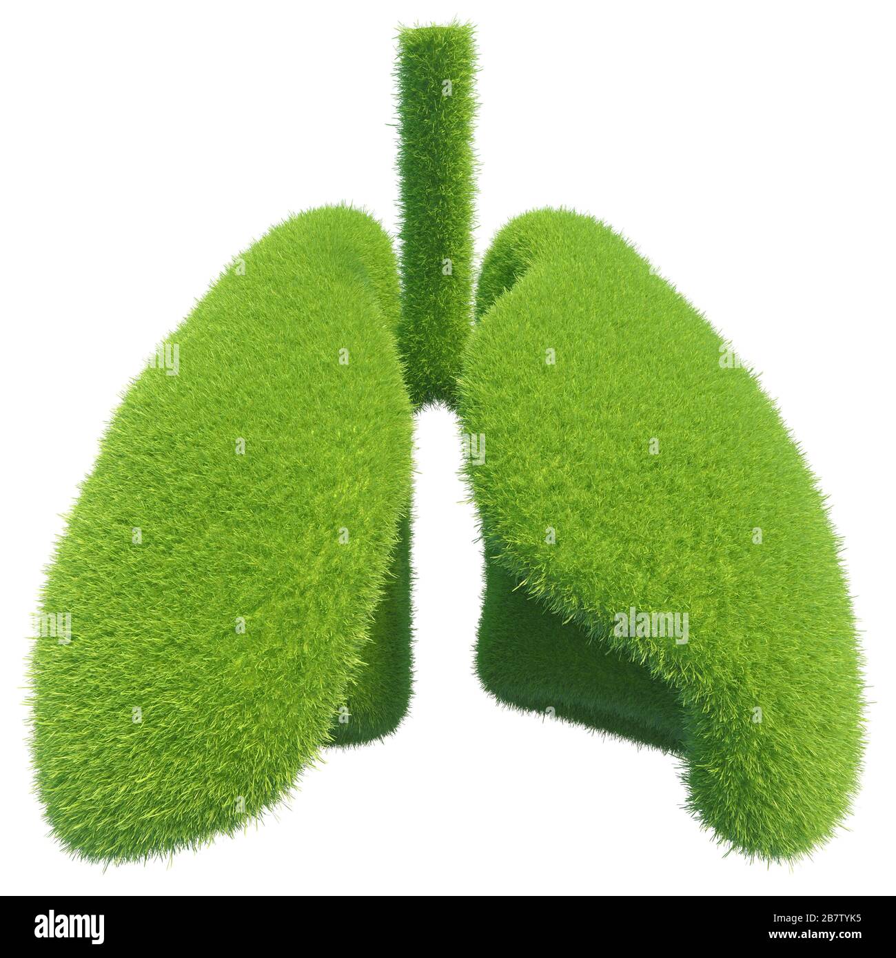 Menschliche Lunge in Form von grünem Frischgras. Symbol für gesunde Lunge. 3D-Rendering. Stockfoto