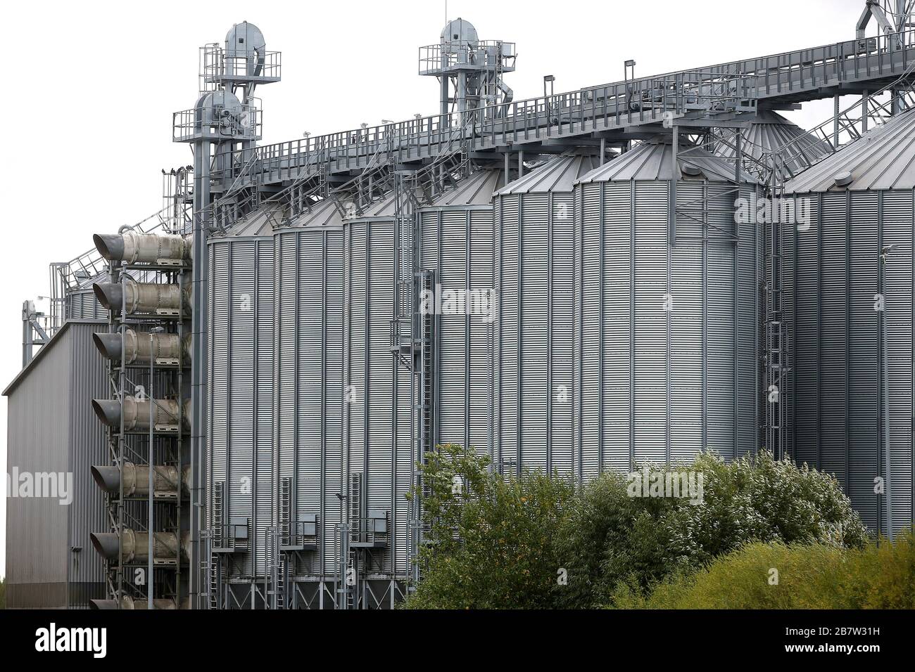 Landwirtschaftliche Silos. Außenansicht Des Gebäudes. Lagerung und Trocknung von Getreide, Weizen, Mais, Soja, Sonnenblume. Litauen, Kedainiai Stockfoto
