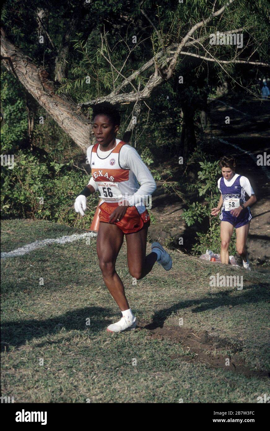 Austin, Texas USA: College-Athleten im Cross Country-Wettbewerb treffen sich. ©Bob Daemmrich Stockfoto