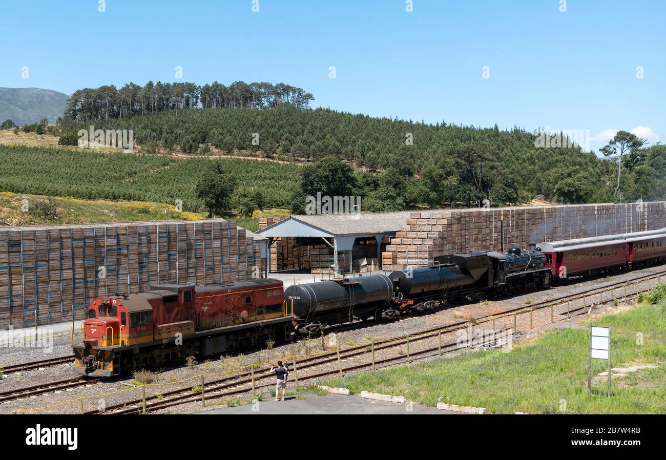 Elgin, Westkap, Südafrika. 2019. Elgin Station in der Overberg Region des Westkap. Diesel Lokomotive assiting a vintage Dampf engi Stockfoto