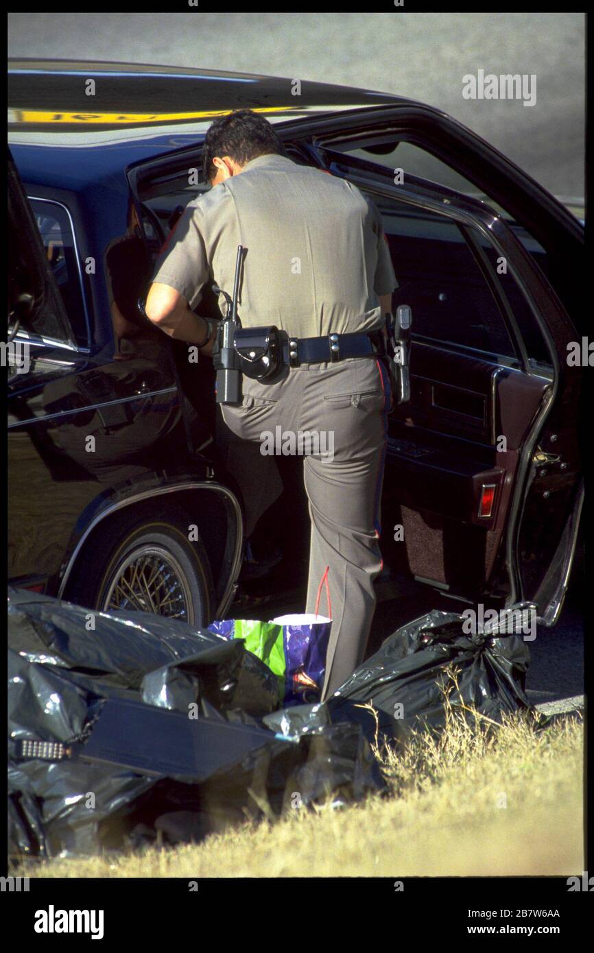 Männlicher Polizeibeamter durchsucht das Auto, nachdem er den Fahrer verhaftet hat. ©Bob Daemmrich Stockfoto