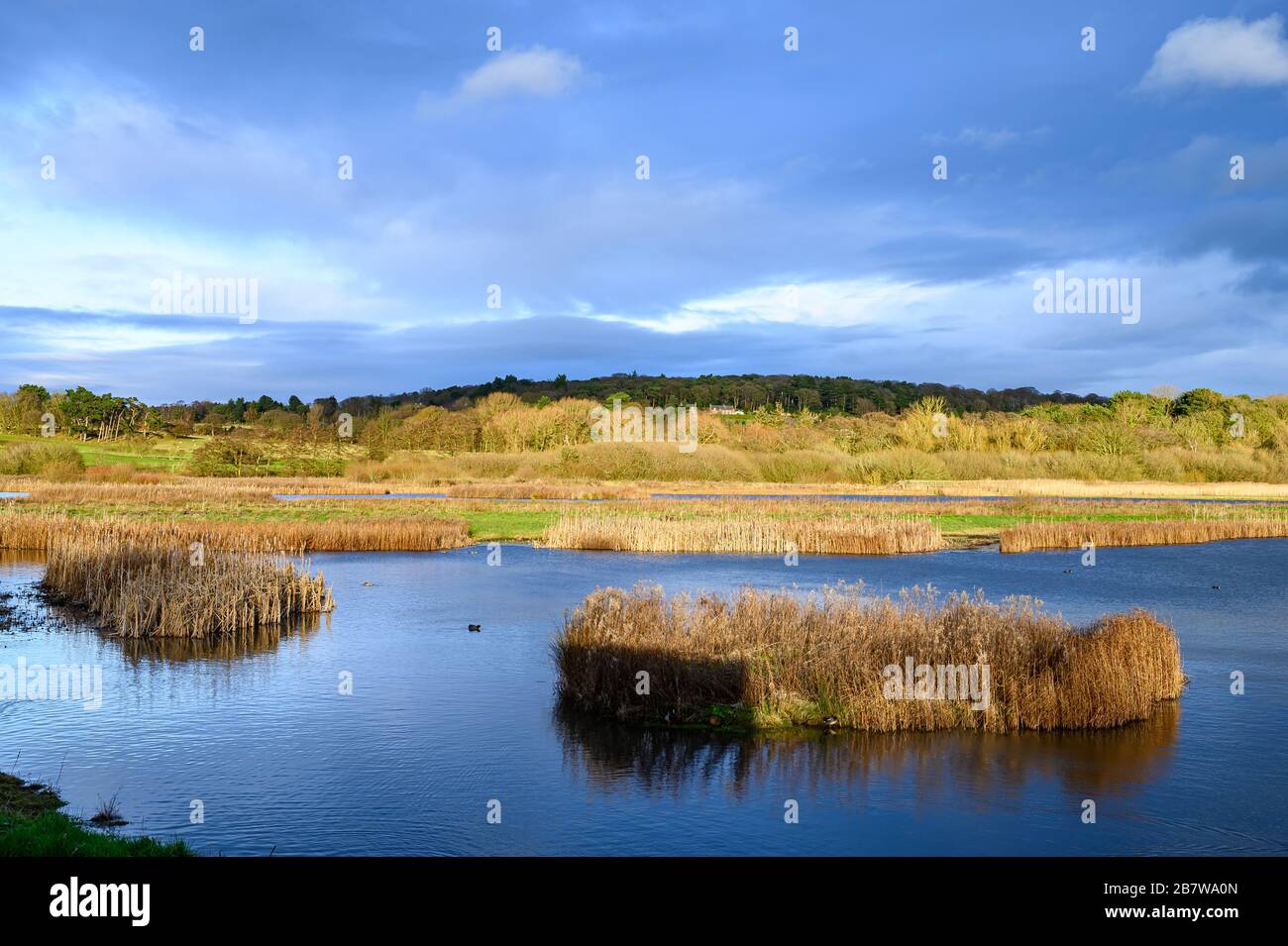 Burton Mere RSPB Reserve, Cheshire Stockfoto