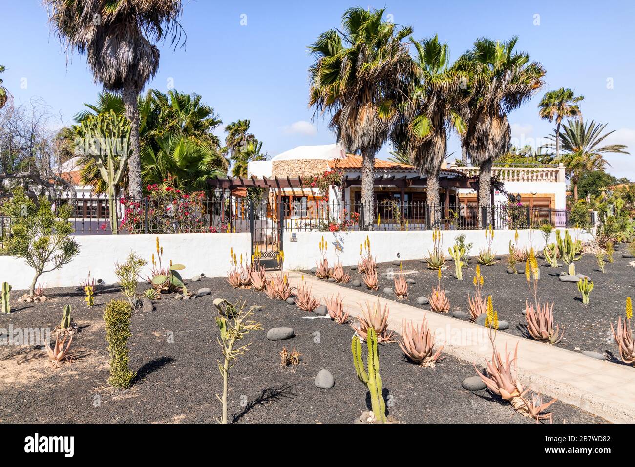 Ein Anwesen mit einem Dürreresistenten Vorgarten in Caleta de Fuste an der Ostküste der Kanareninsel Fuerteventura Stockfoto