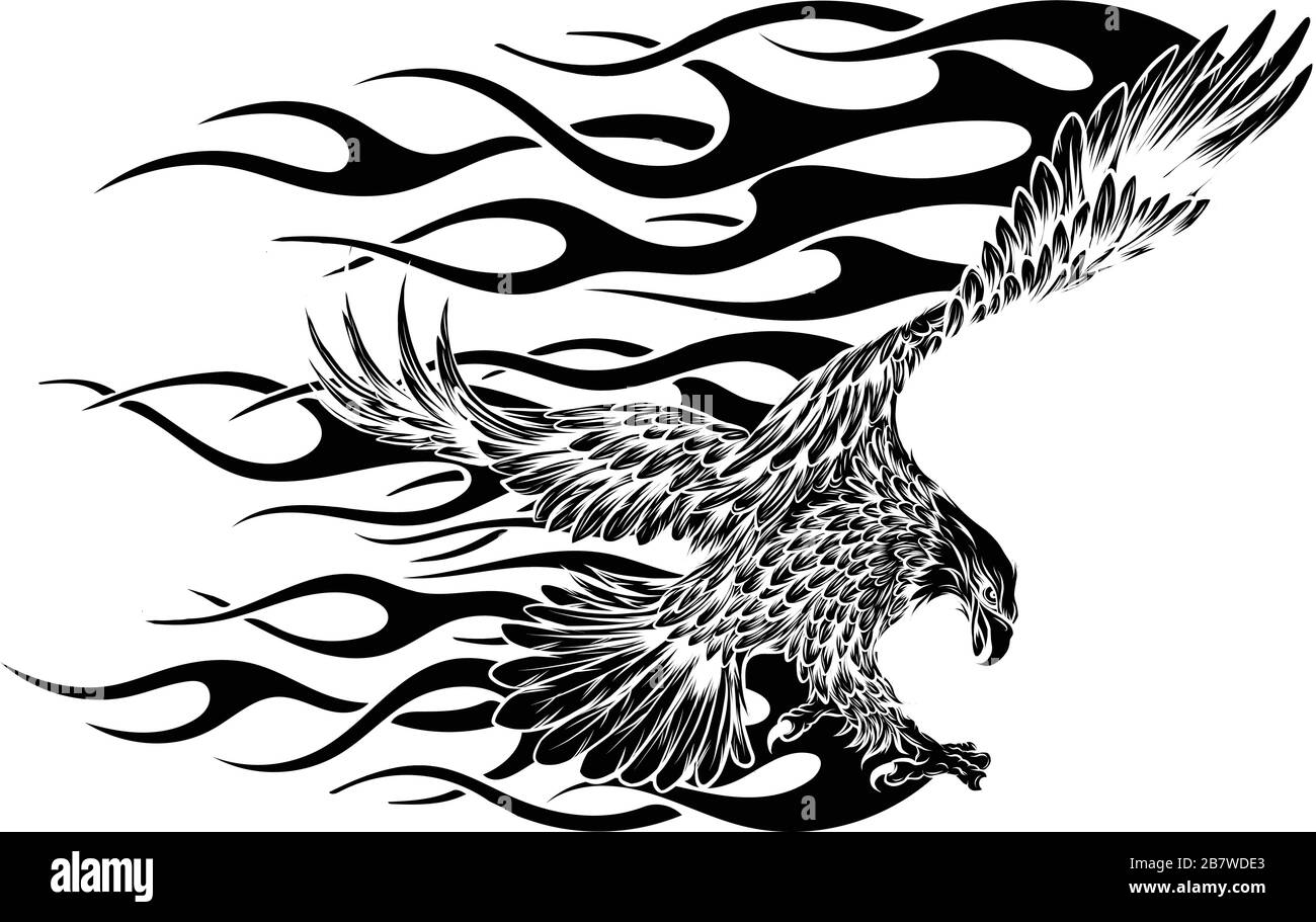 Fliegender Adler, spreizt seine Feder aus, schwarzer Adler auf weißem Grund. Stock Vektor