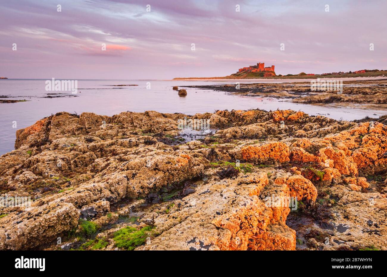 Landschaft bei Dämmerung mit Sonnenuntergang Farbe auf Himmel, Meer und die felsige Küste von Bamburgh in Northumberland mit Bamburgh Castle an der Küste in der Ferne. Stockfoto