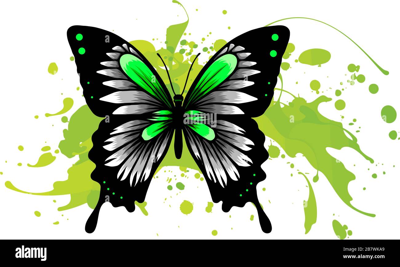 Realistischer Monarch-Schmetterling in allen Regenbogenfarben auf weißem Hintergrund. Vektor Stock Vektor