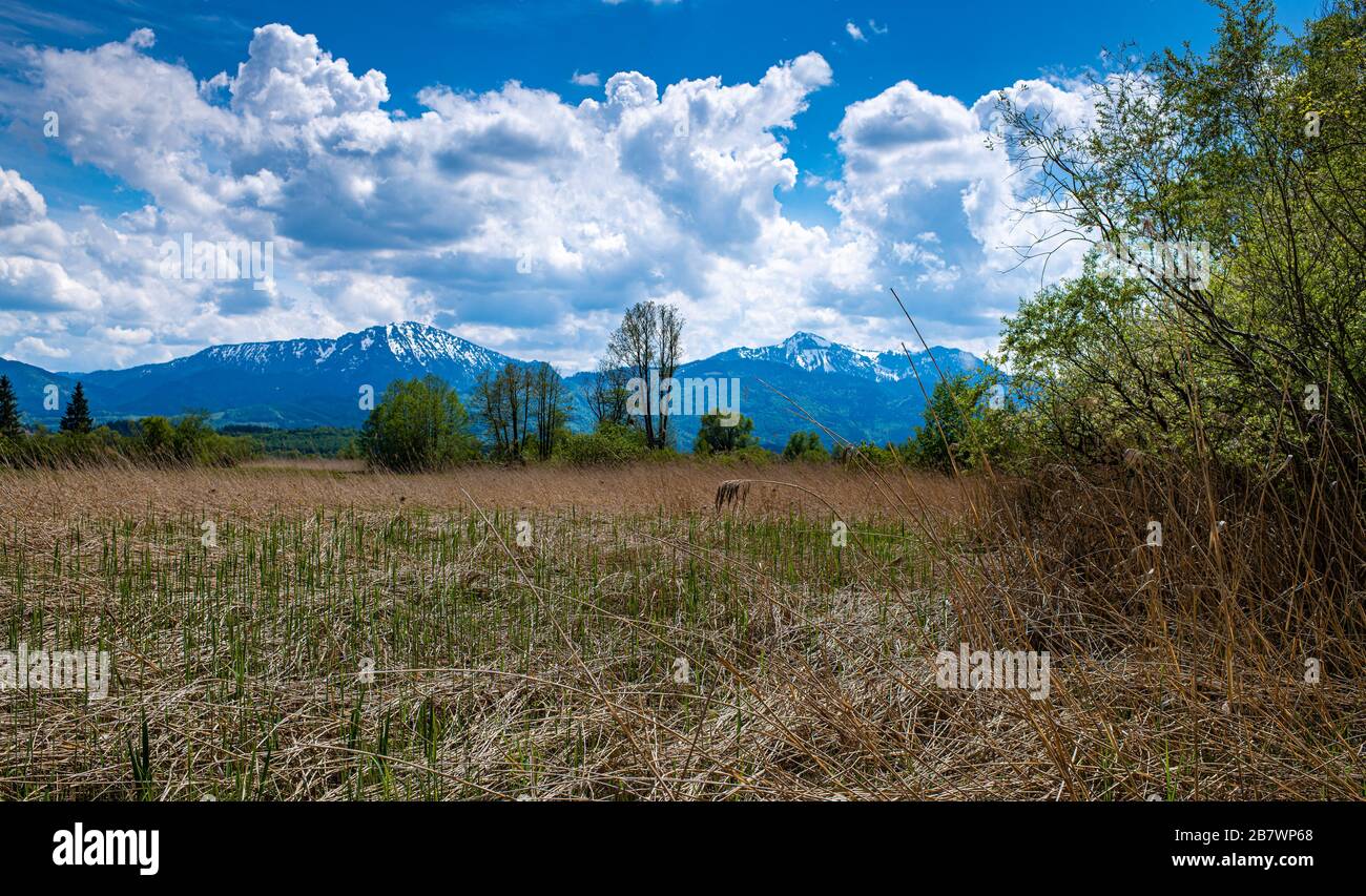 Länderseite Bayerns, Deutschland mit den alpen im Hintergrund Stockfoto