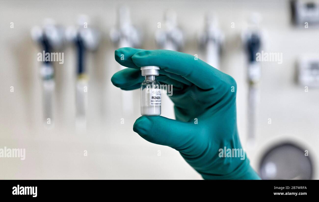 Handschuh mit Laborprobe, Laborassistent, der einen Impfstoff gegen Coronavirus untersucht, COVID-19 Pandemie, CureVac GmbH im Stockfoto