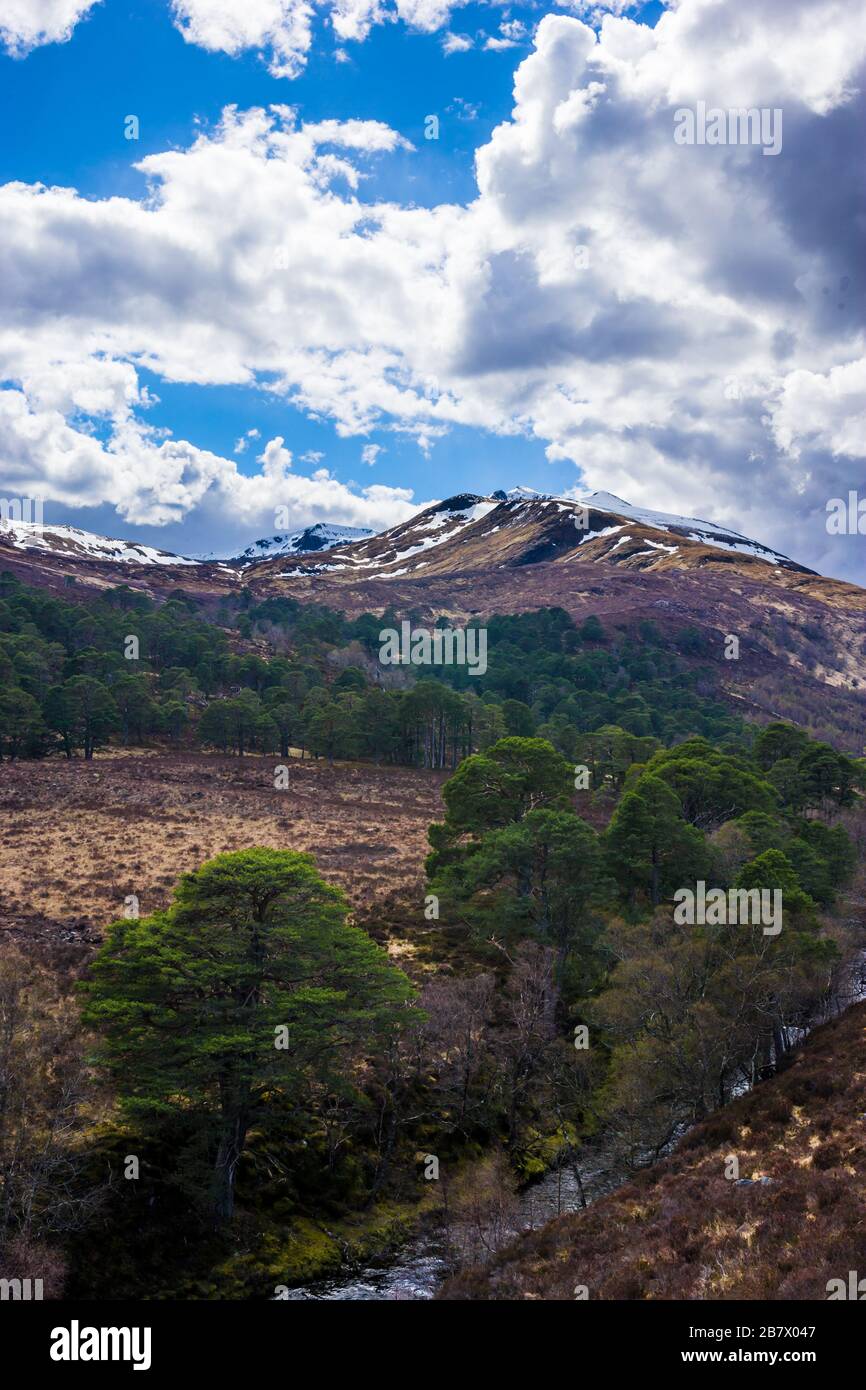 Schottische Berge oder munros Sgurr na Lapaich und Sgurr nan Clachan Geala zwischen Glen Strathrarar und Glen Cannich in den Highlands von Schottland Stockfoto