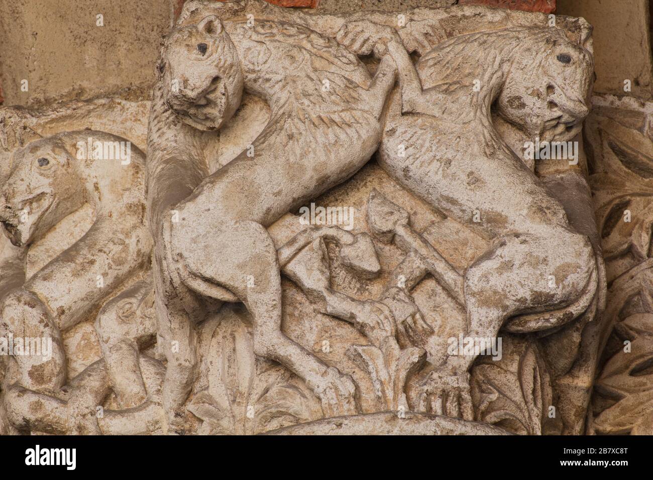 Das mittelalterliche Bestiarium - ein Paar Felinenkämpfe - romanischer Stil Hauptstadt - Atrium von Ansperto - Basilika Sant'Ambrogio - Mailand Stockfoto