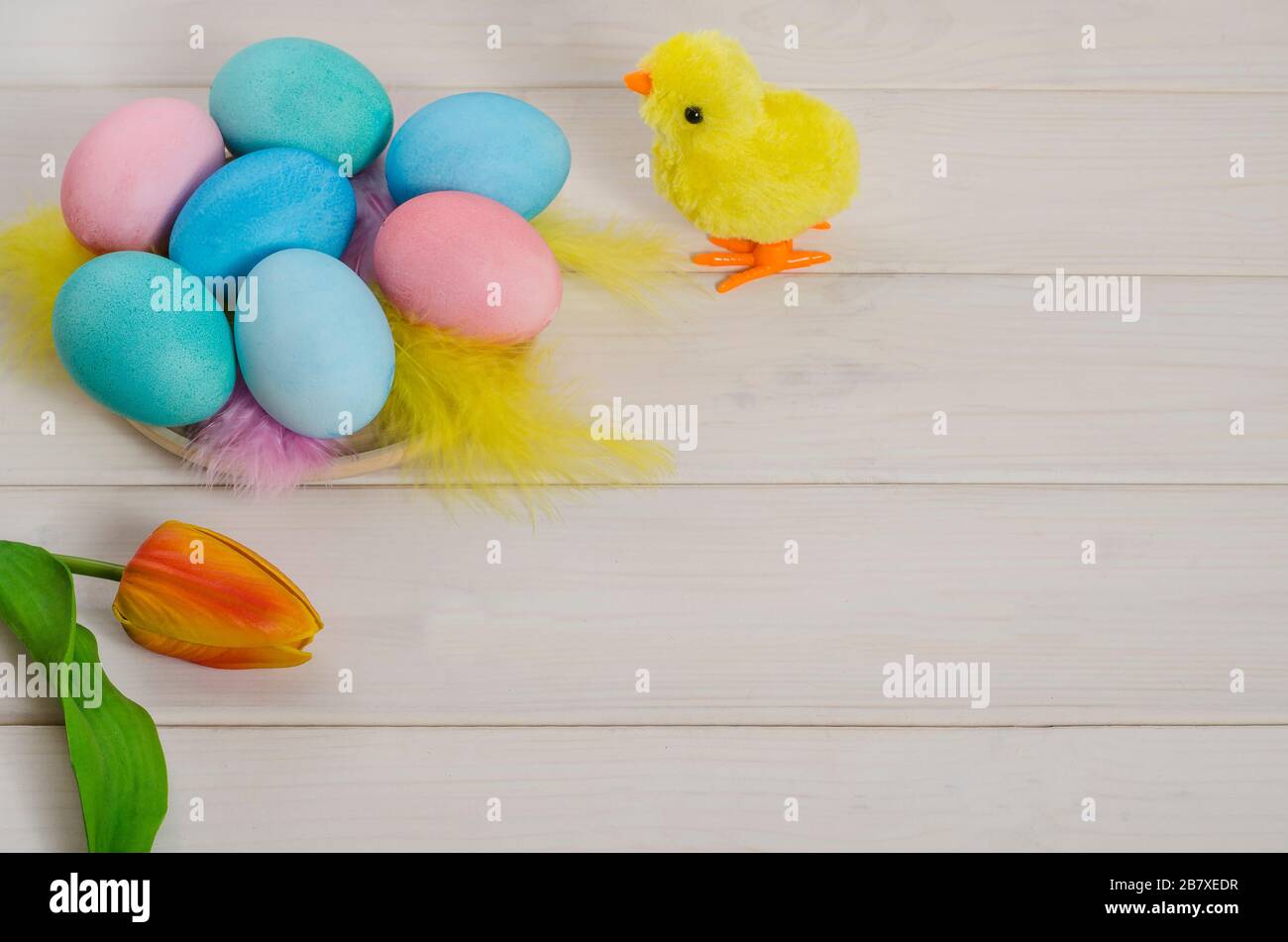 Hintergrund der Osterkarte. Spielzeughuhn mit mehrfarbigen Ostereiern auf weißem Holzhintergrund mit Kopierraum. Frohe ostern. Seitenansicht. Stockfoto