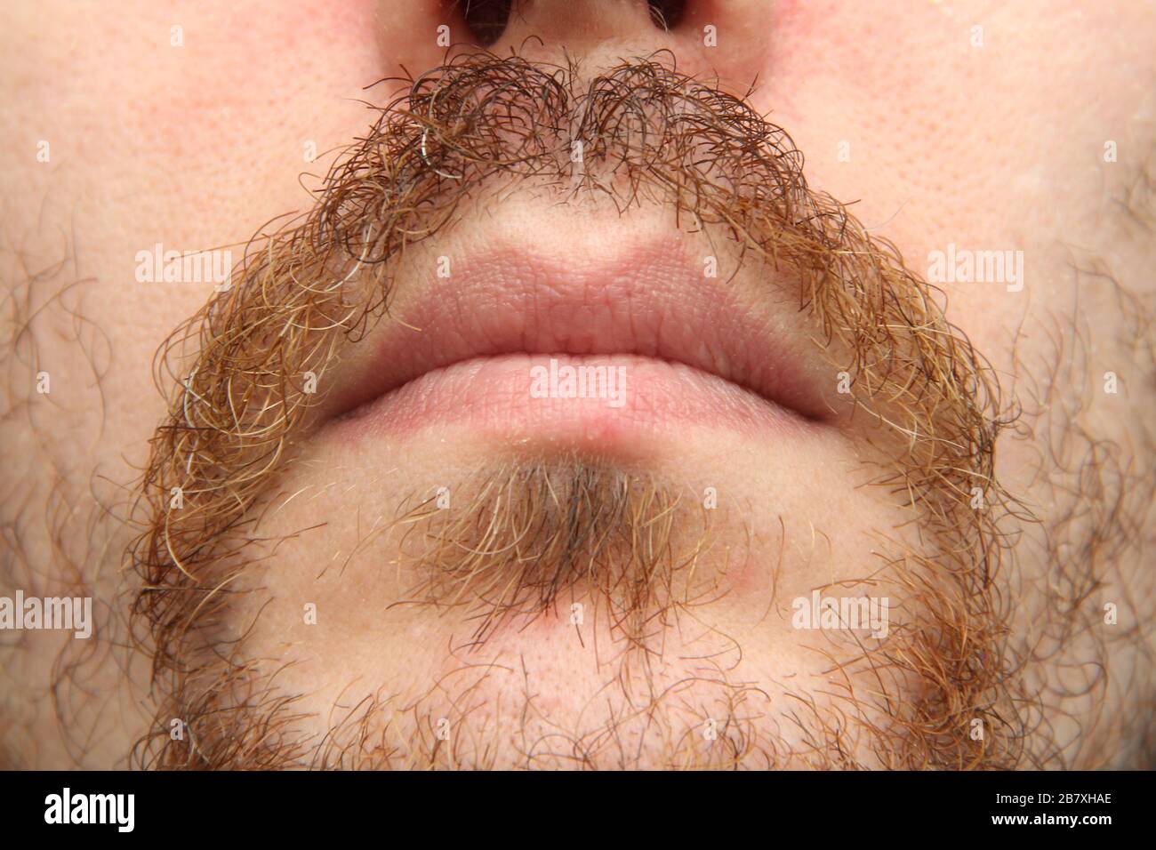 Der untere Teil des Gesichts eines weißen Mannes mit Bart und Schnurrbart. Stockfoto