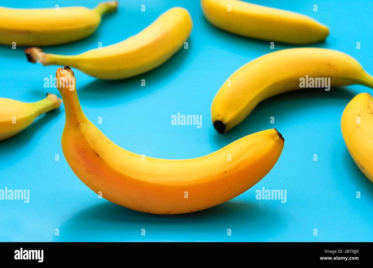Viele gelbe Bananen auf blauem Grund. Stockfoto