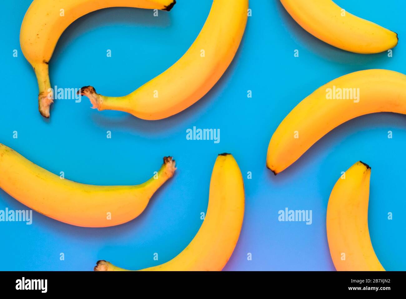 Hintergrund gelber Bananen auf blauem Grund. Stockfoto