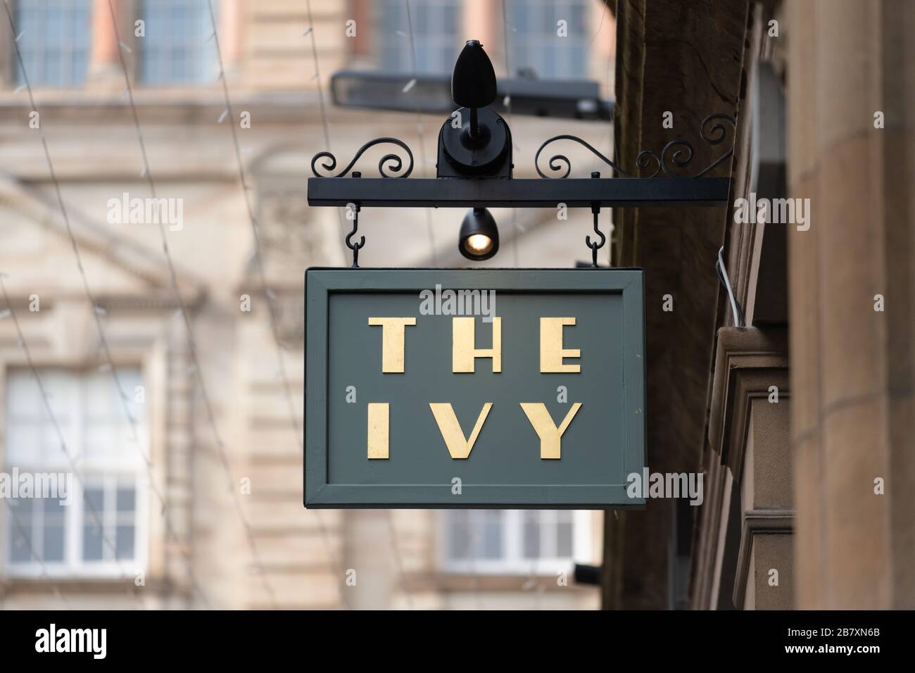 Der Efeu, Buchanan Street, Glasgow, Schottland, Großbritannien Stockfoto