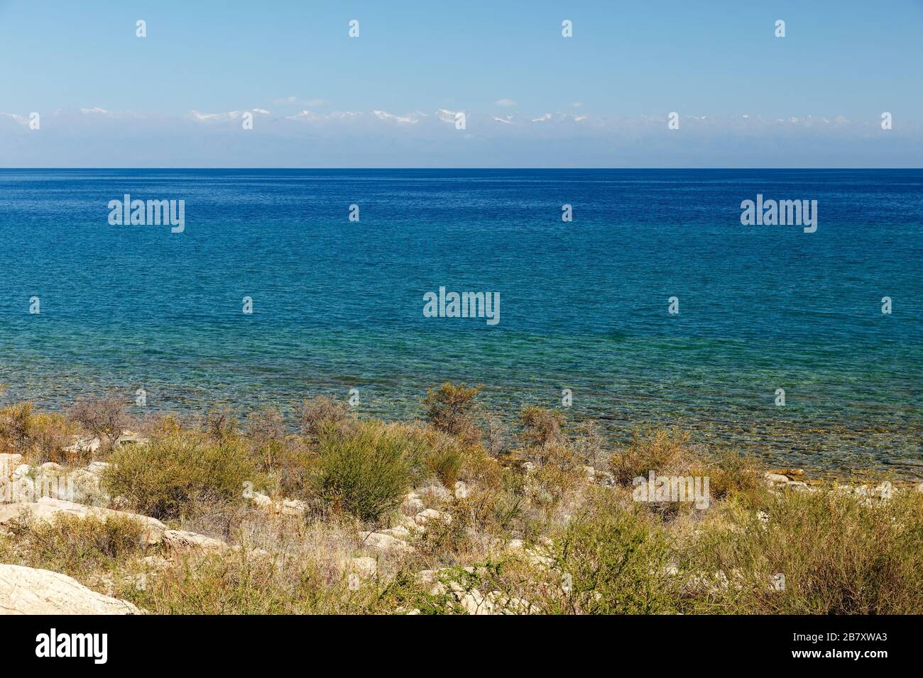 Issyk-kul, Kirgisistan, Strauch am Südufer des Sees. Stockfoto