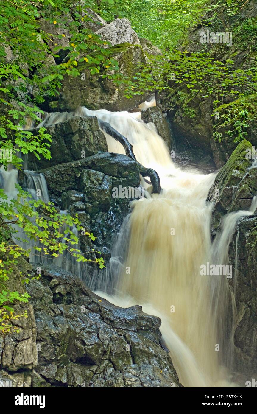 Die Sychryd-Wasserfälle bei Pontneddfechan am To des Neath Valley in Südwales Stockfoto
