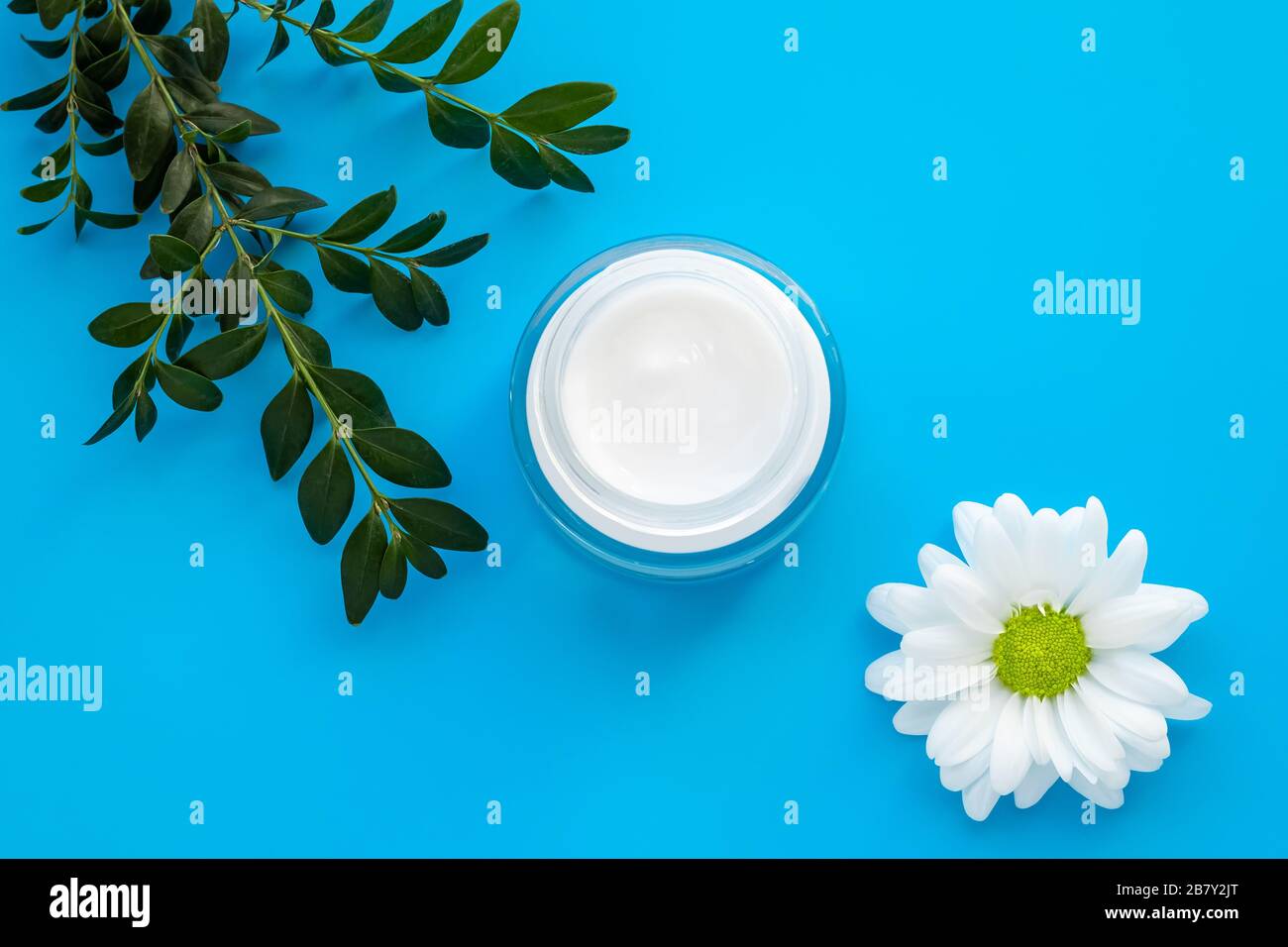 Cremefarbener Krug mit weißer Kamillenblume und grünem Ast auf blauem Grund. Kräuterlotion in einem Glasbehälter, natürliche Kosmetik. Hautpflege in d Stockfoto