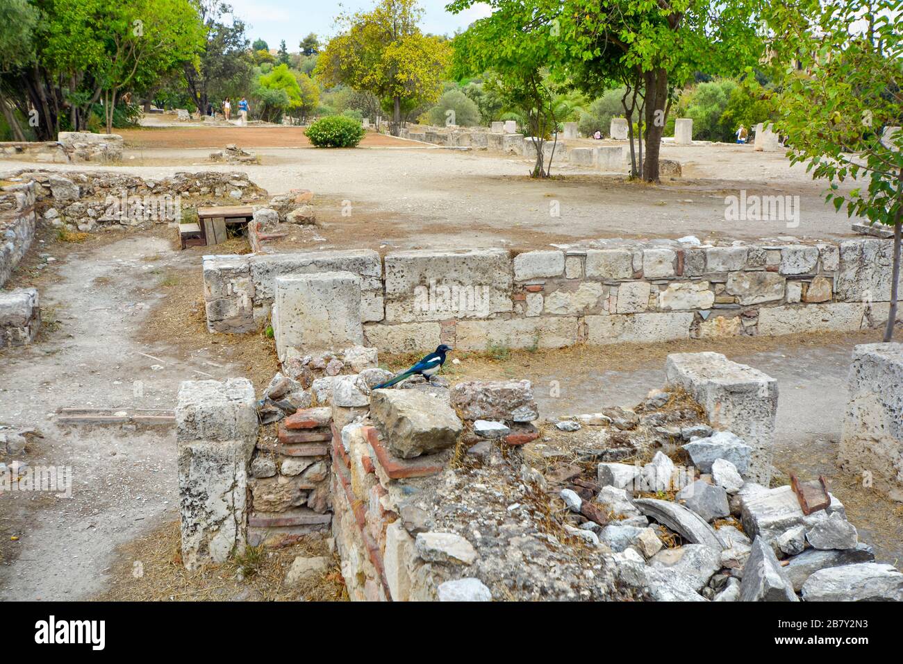 Ein eurasischer Magpie oder gewöhnlicher Magpie (Pica pica) befindet sich unter den antiken Ruinen der Agora unter dem Akropolishügel in Athen, Griechenland. Stockfoto