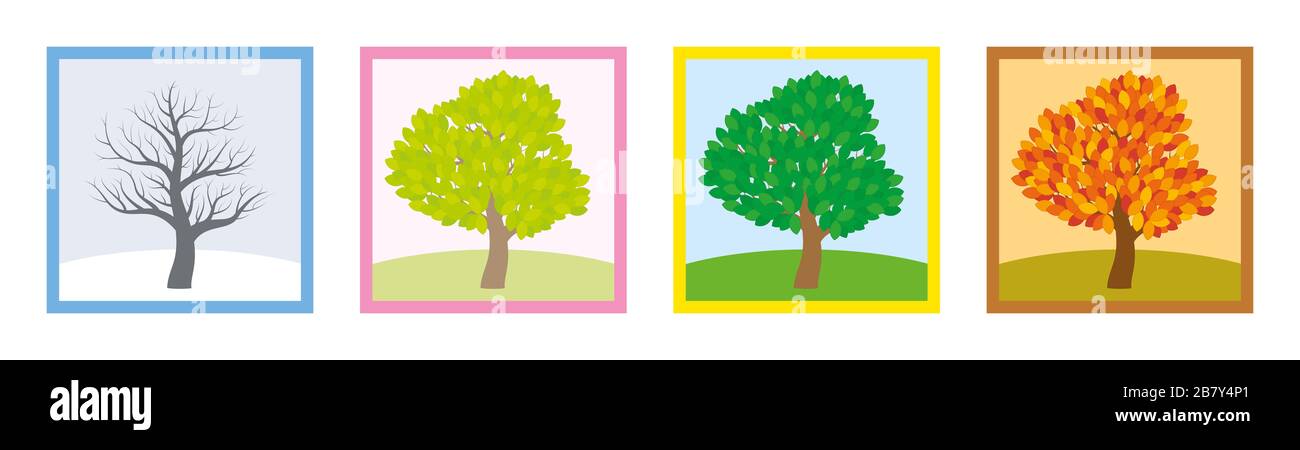 Vier Saisons. Bäume im Winter, Frühling, Sommer und fallen mit unterschiedlichem Laub in typischen Farben und Farbtönen, während sich die Blätter das ganze Jahr über drehen. Stockfoto