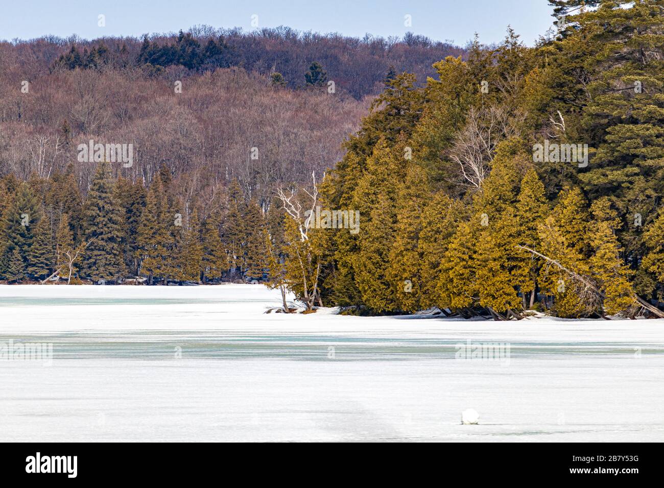 Ein gefrorener See, speziell Meech Lake in der Nähe von Chelsea, Quebec in Kanada, scheint von Waldbäumen umgeben und in einer Schicht Schnee und Eis bedeckt zu sein. Stockfoto
