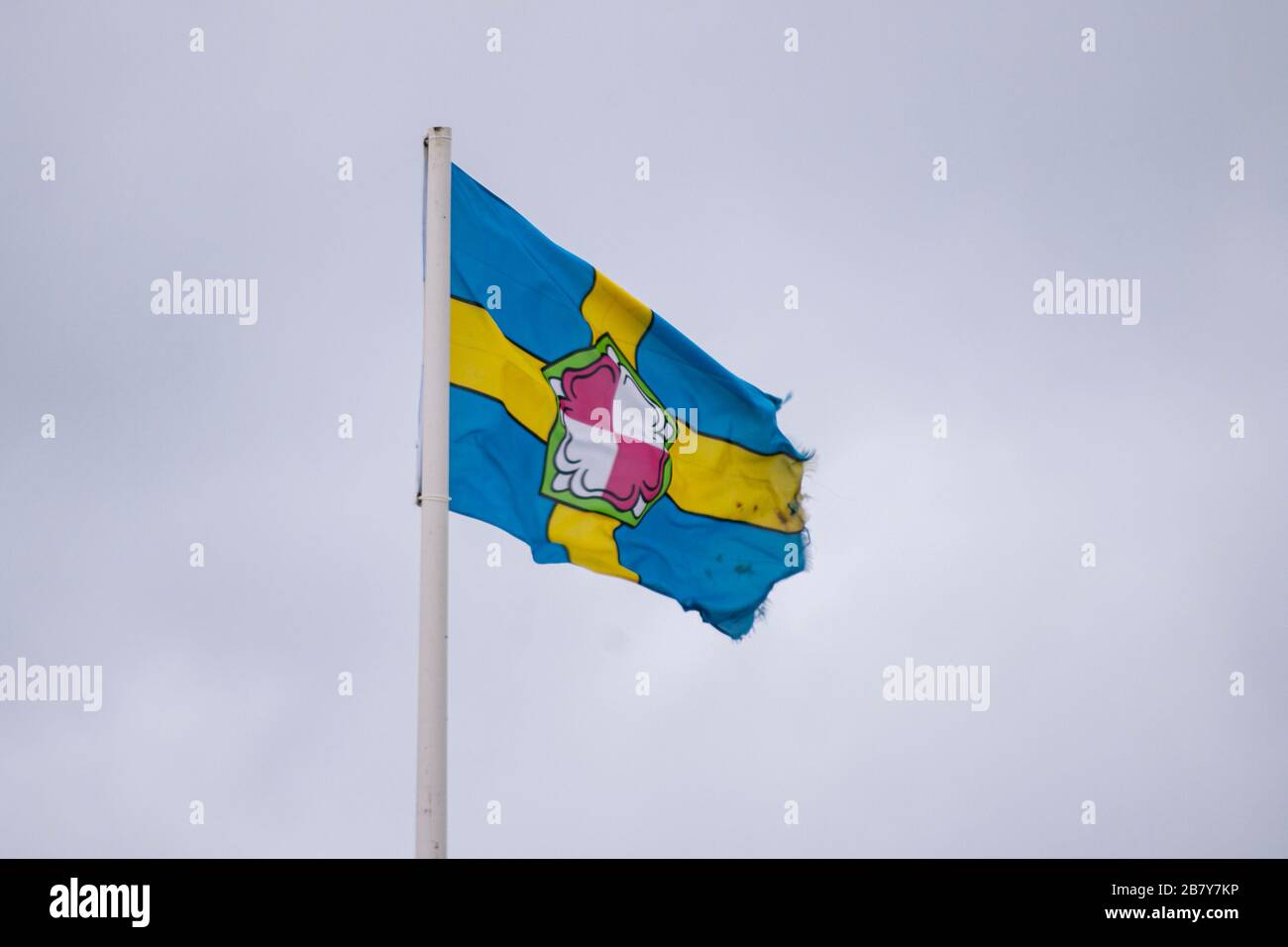Saundersfoot Neujahrsschwimmen 2017. Stockfoto