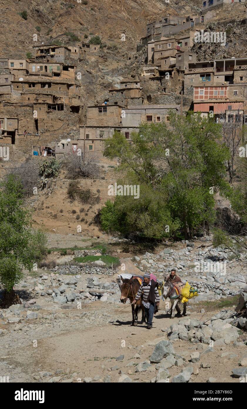 Lokale Menschen, die in den Bergen des hohen Atlas, Marokko, spazieren gehen Stockfoto