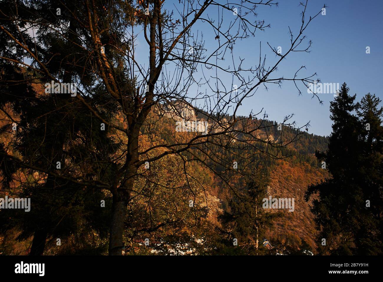 Borjomi-Nationalpark, Georgia Stockfoto