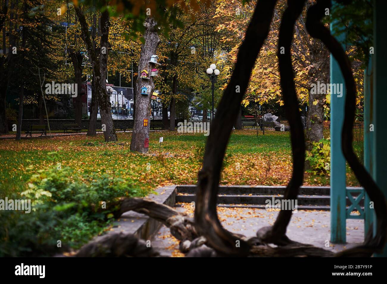 Borjomi-Nationalpark, Georgia Stockfoto