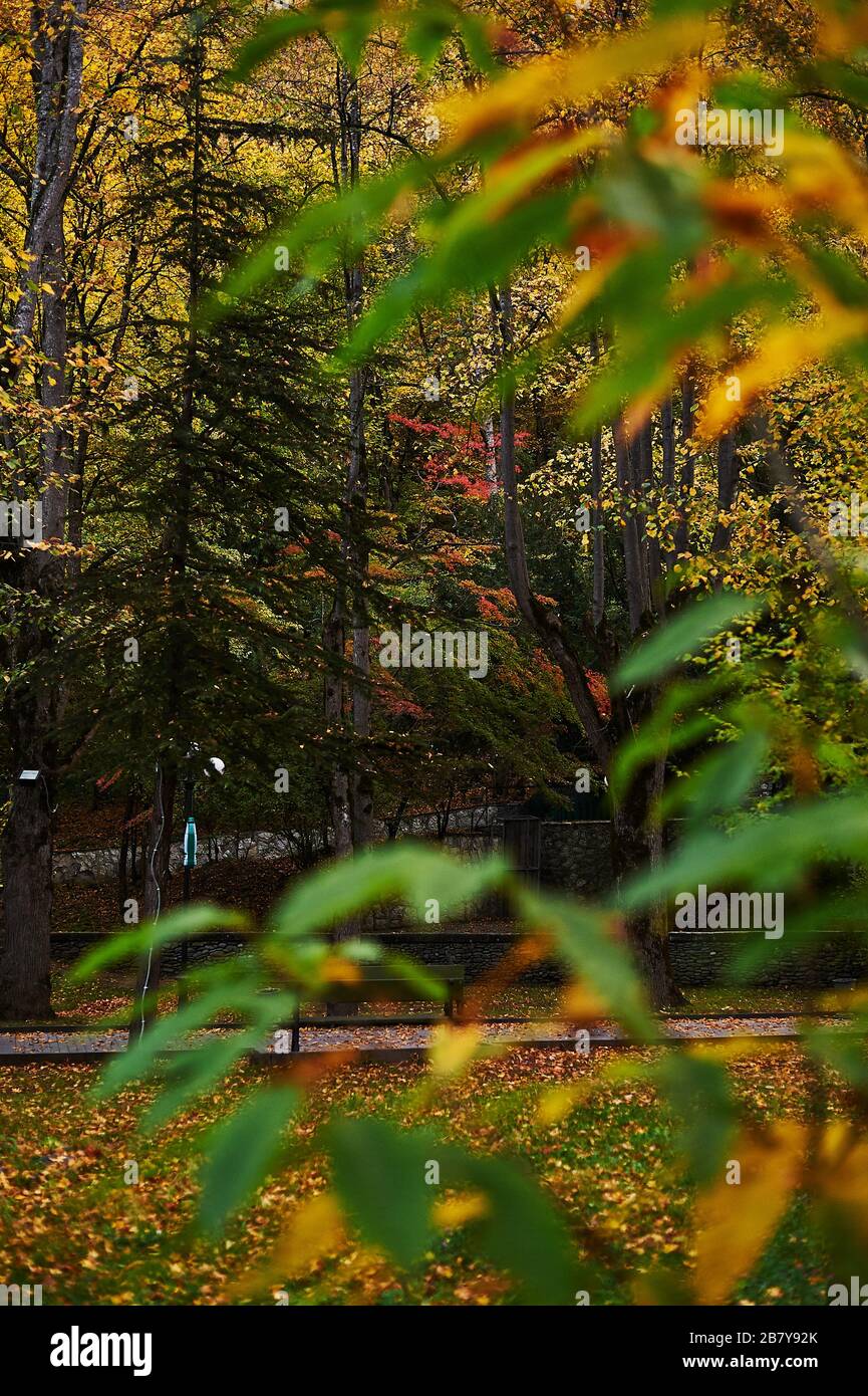 Borjomi-Nationalpark, Georgia Stockfoto