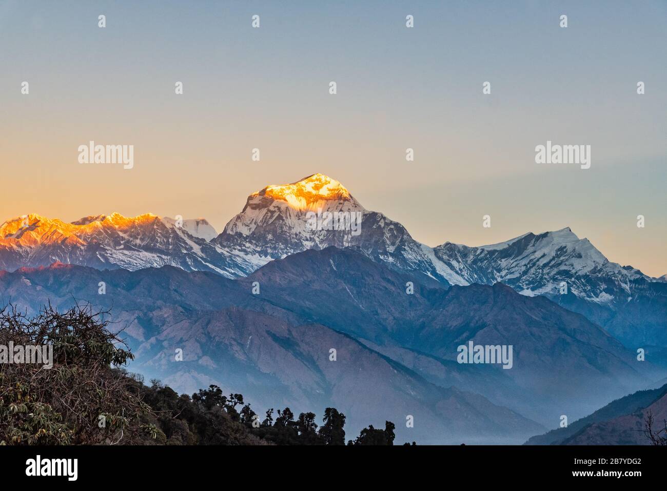 Schöner Sonnenaufgang Licht küsst Dhaulagiri Berggipfel vom Poonhill Ghorepani Nepal aus Stockfoto