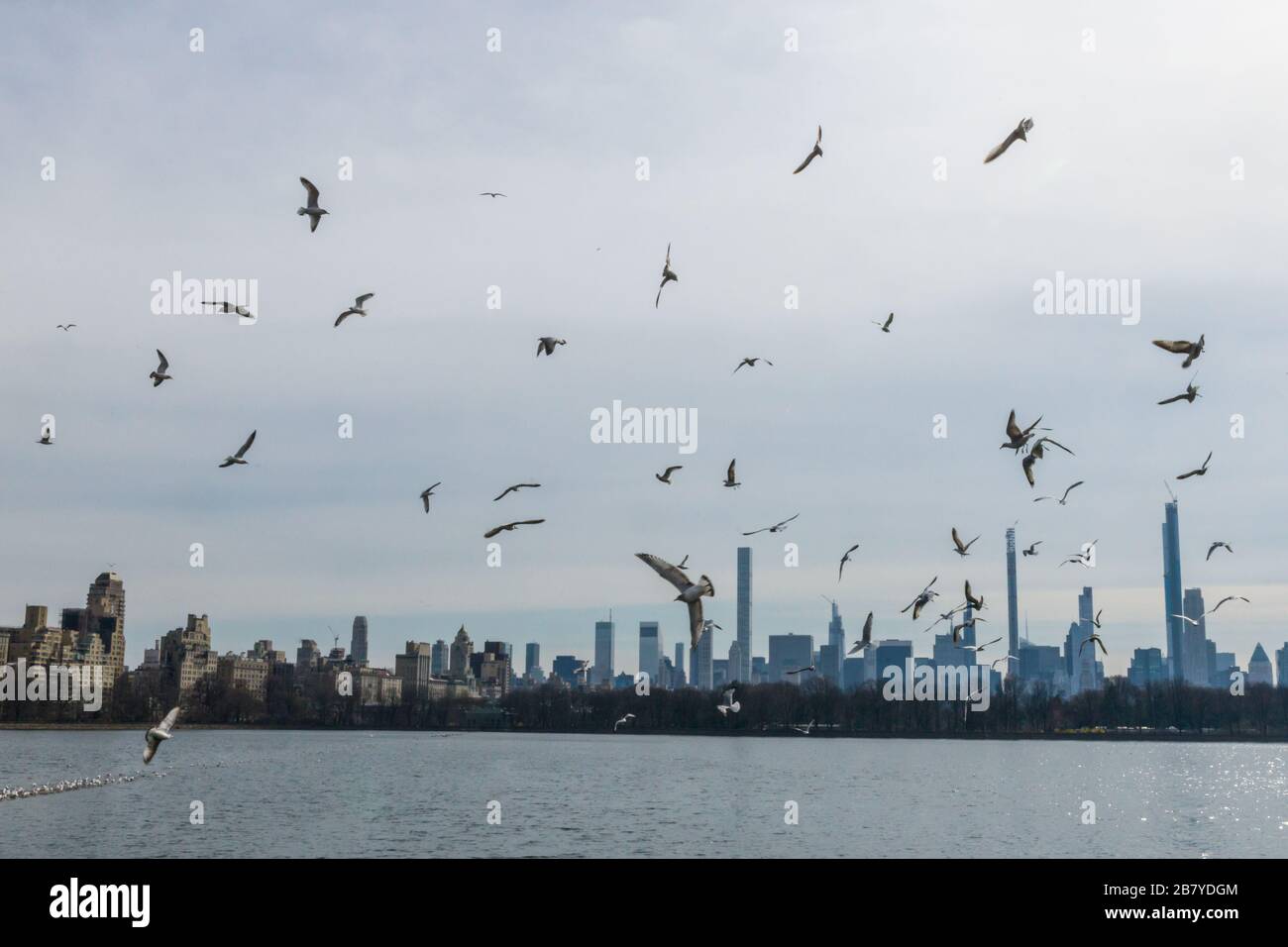 New York, USA, 18. März 2020. Möwen fliegen über den Central Park Reservoir in der Stadt New York. Kredit: Enrique Shore/Alamy Stock Photo Stockfoto