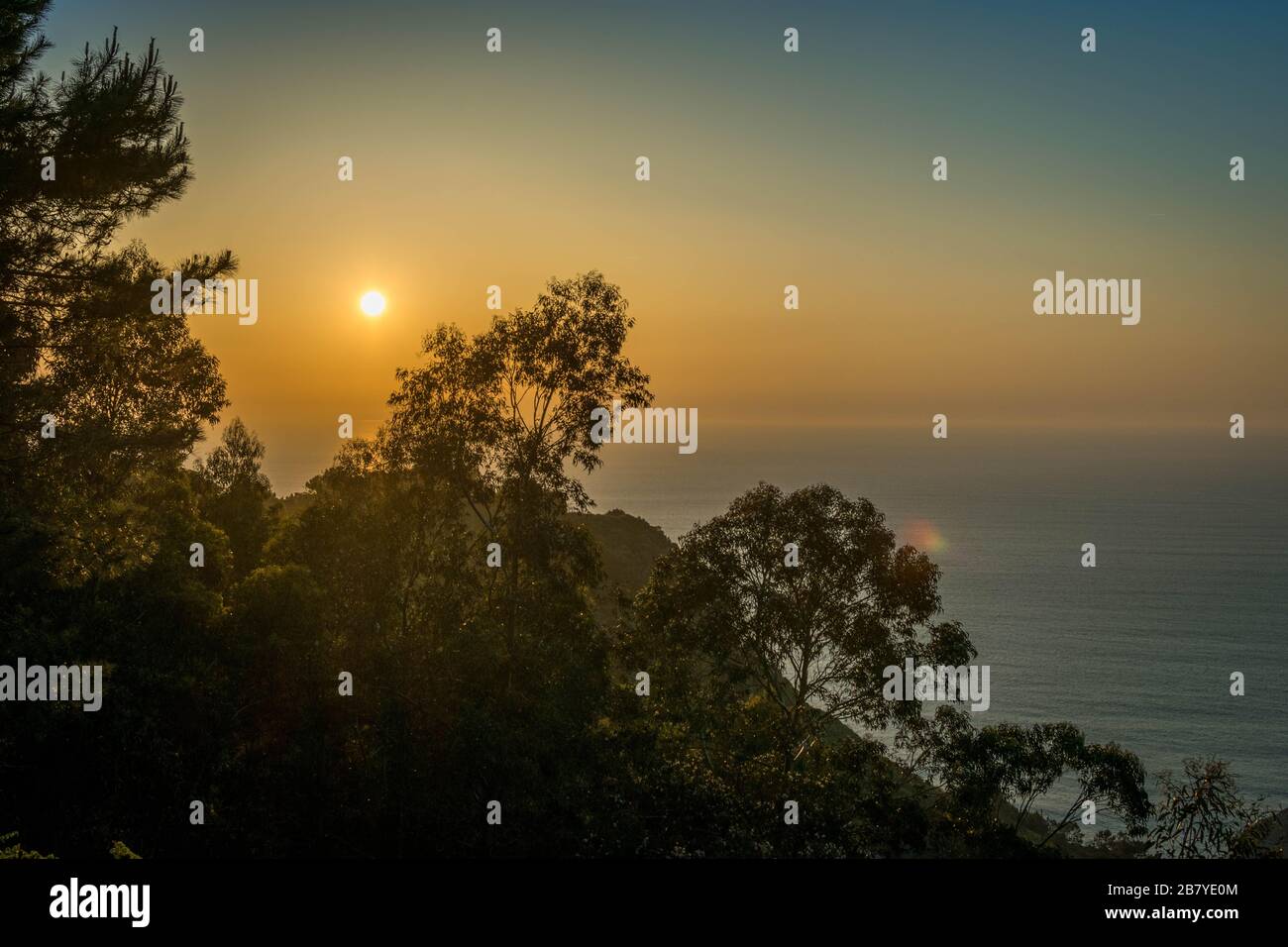 Faszinierende Aussicht auf den Sonnenaufgang über dem Meer mit dem Zweige eines Baumes im Vordergrund Stockfoto