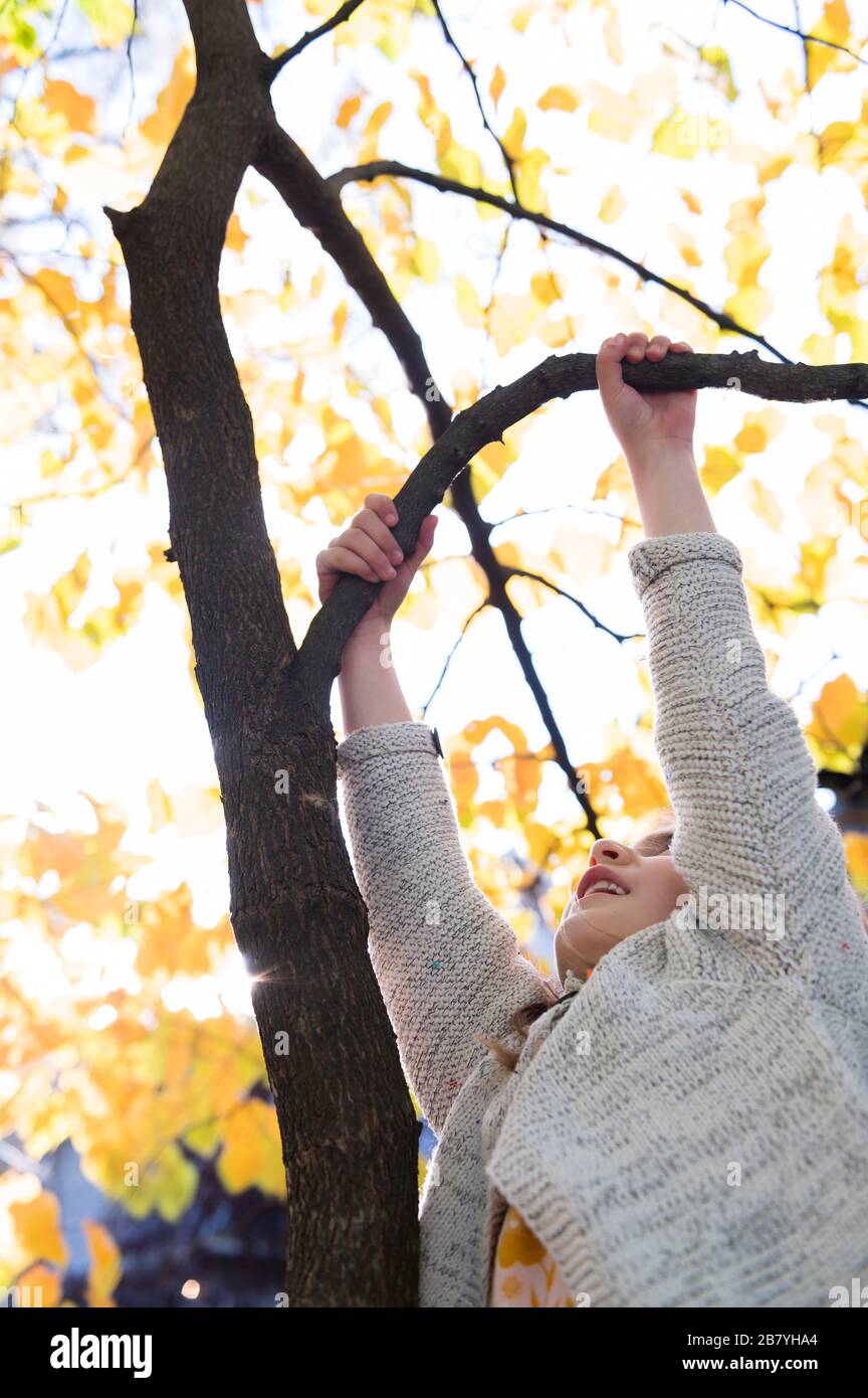 Mädchen kletternden Baum im Herbst Stockfoto