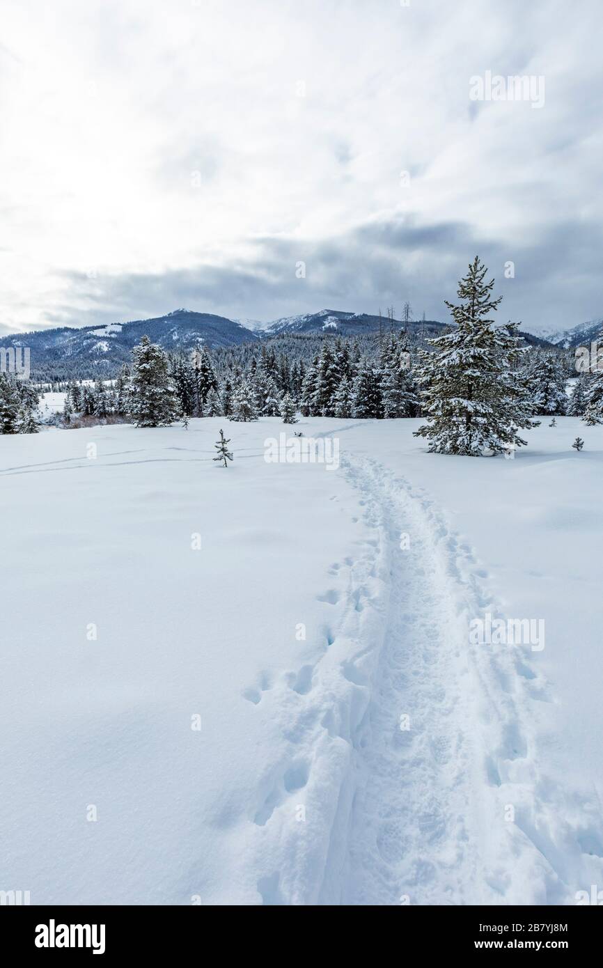 Spuren im Schnee Stockfoto