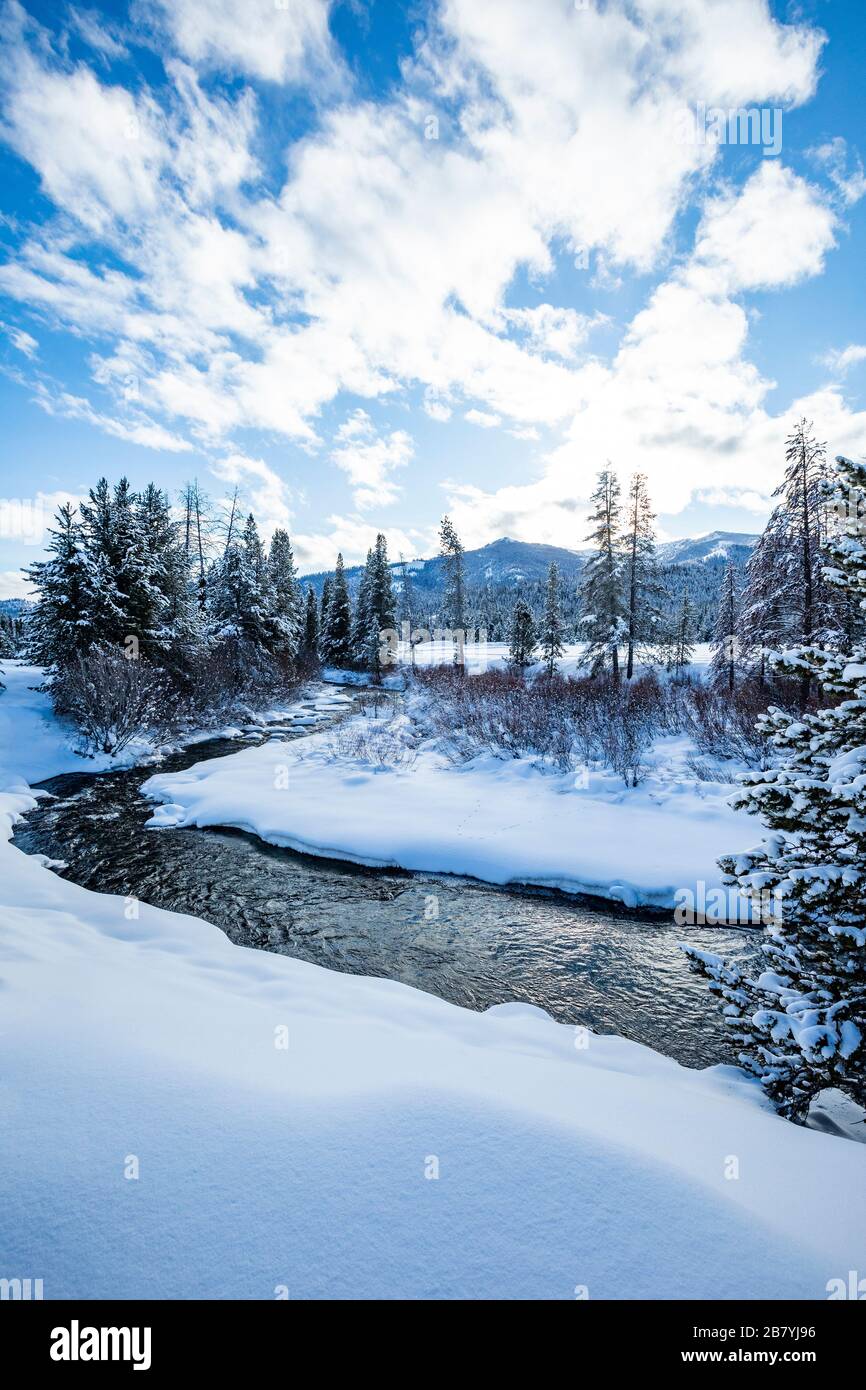 Pinien und Schnee am Fluss in Sun Valley, Idaho Stockfoto