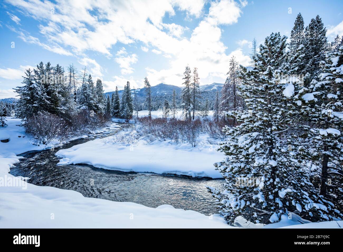 Pinien und Schnee am Fluss in Sun Valley, Idaho Stockfoto