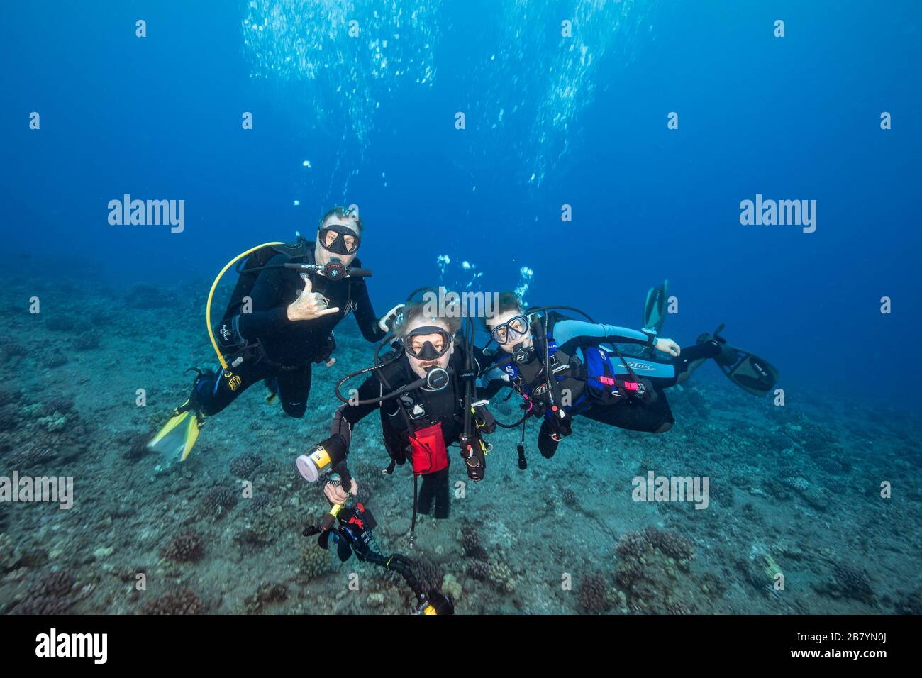 Drei Taucher (MR) posieren für ein Porträt auf Hawaii. Stockfoto