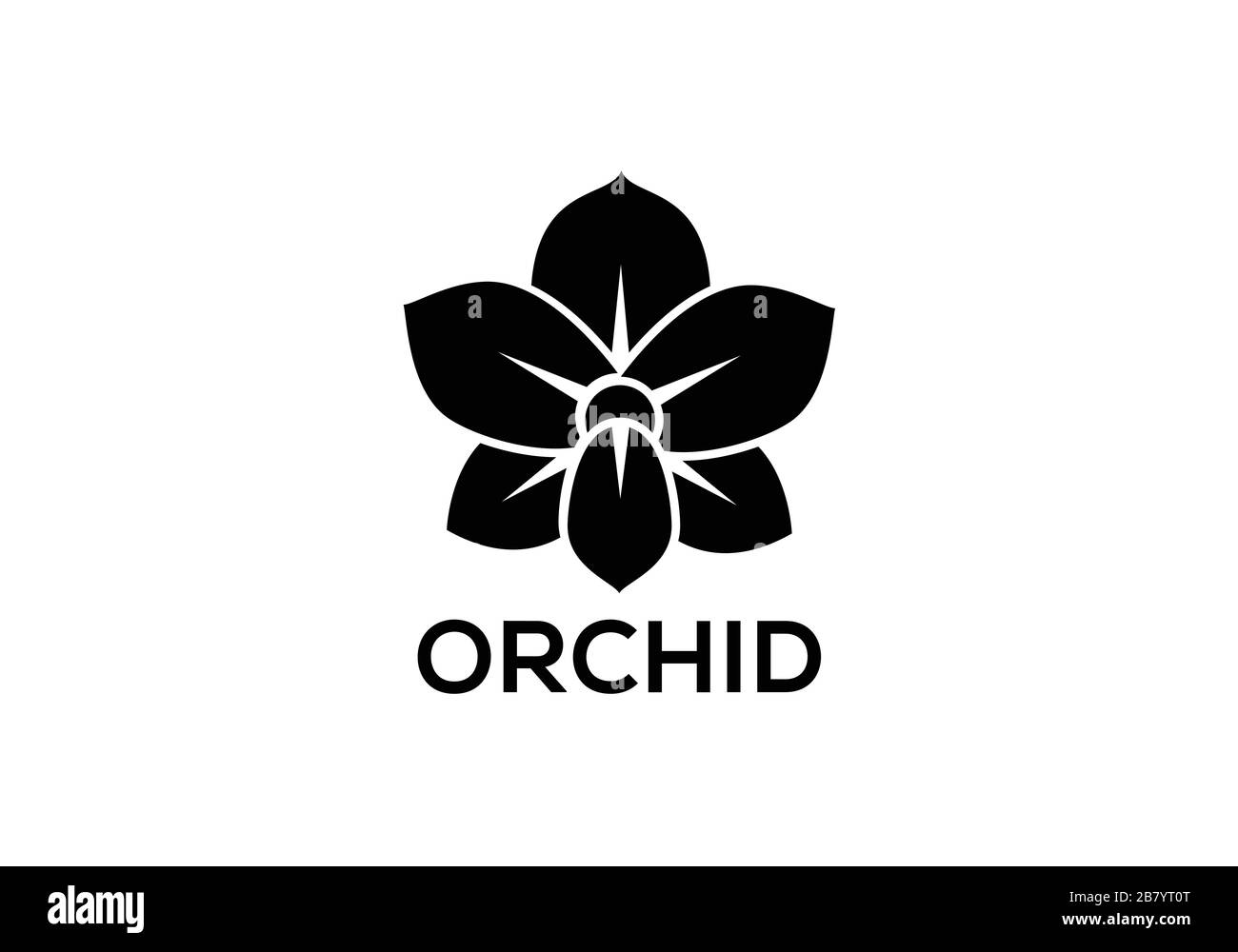 Orchideenvektorblume isoliert auf weißem Hintergrund Stock Vektor