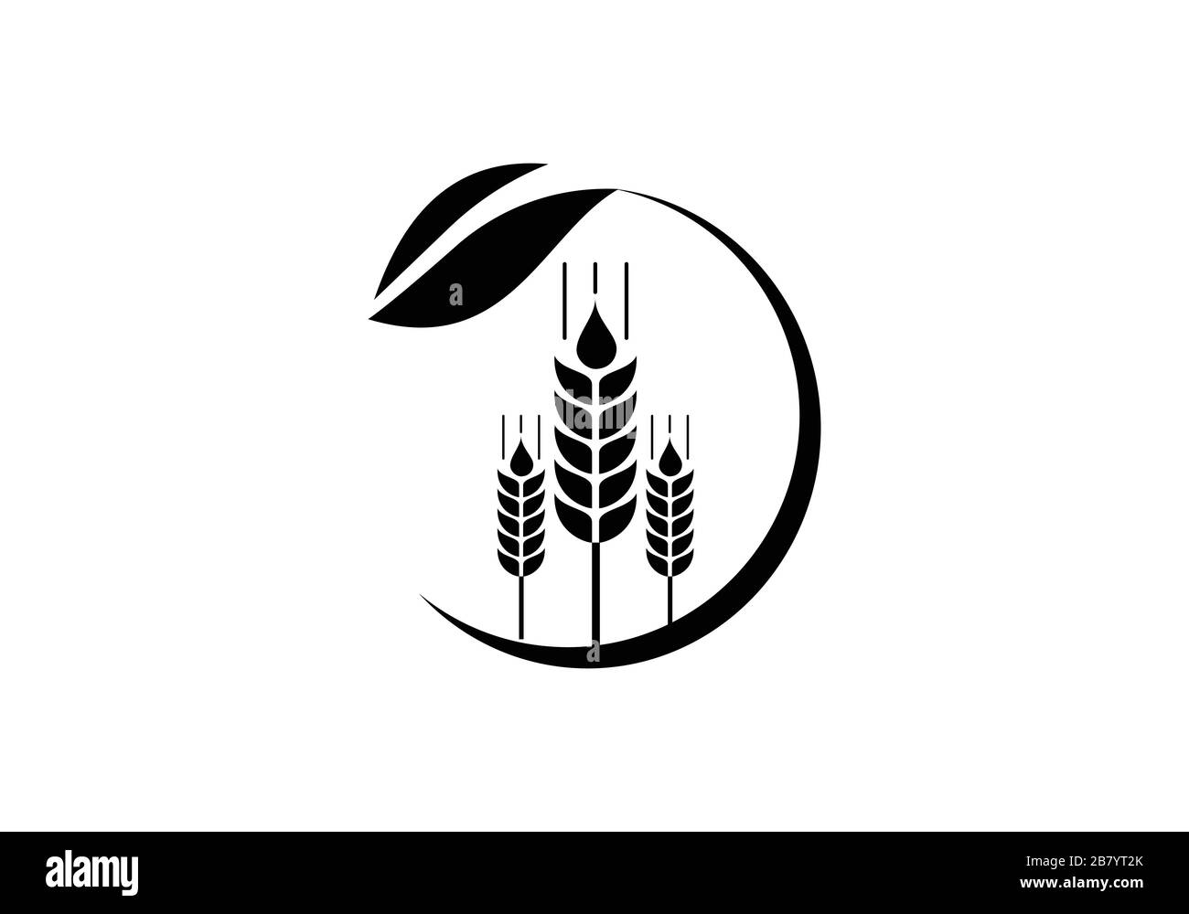 Weizenährensymbol und Logo. Für den Identitätsstil von Natural Product Company und Farm Company. Landwirtschaftliche Symbole isoliert auf weißem Hintergrund. Stock Vektor