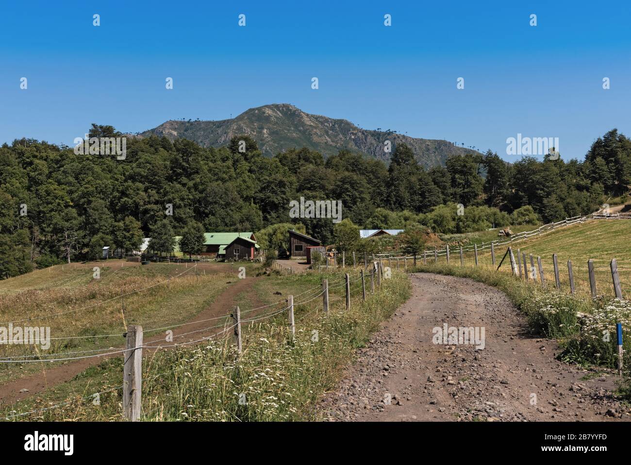 Bauernhof im Malalcahuello Nationalreservat in der Provinz Araucania, Chile Stockfoto